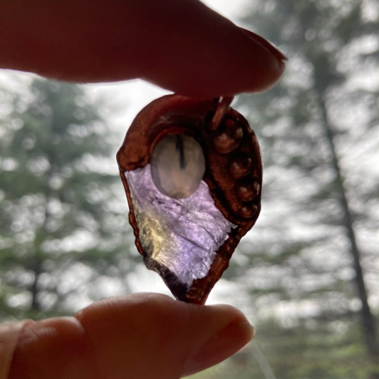 ametrine crystal electroformed necklace