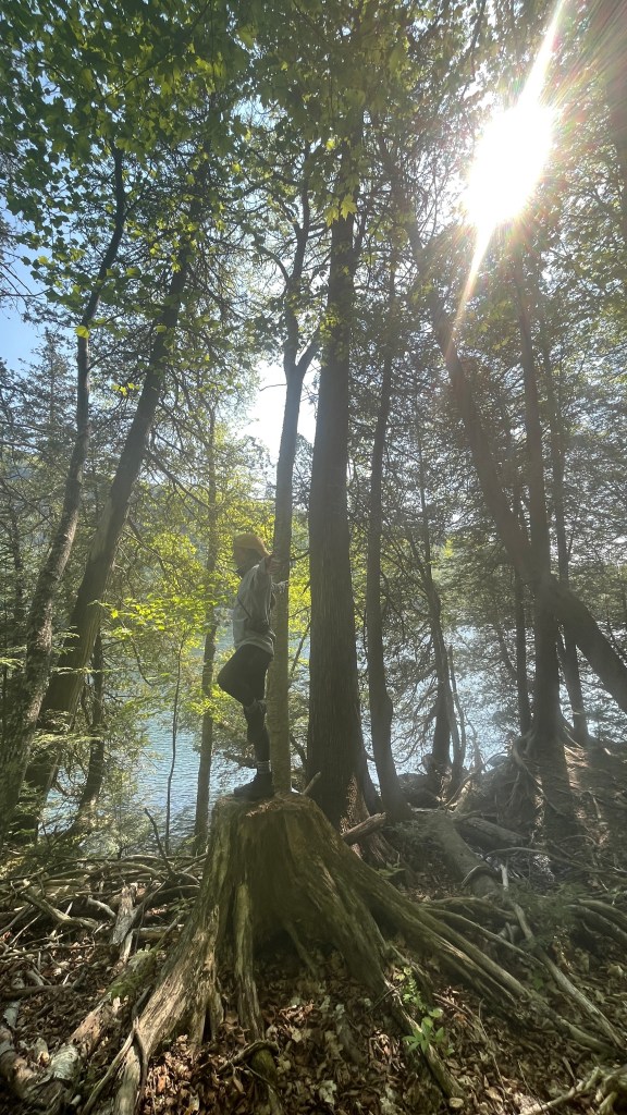 Biomimicry, interconnectedness, harmony with Gaia. 